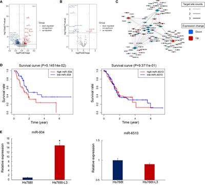 Establishment of a 4-miRNA Prognostic Model for Risk Stratification of Patients With Pancreatic Adenocarcinoma